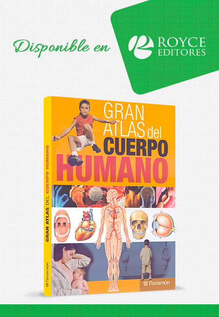 Compra en línea Gran Atlas del Cuerpo Humano