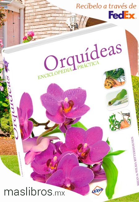 Compra en línea Orquídeas Enciclopedia Práctica